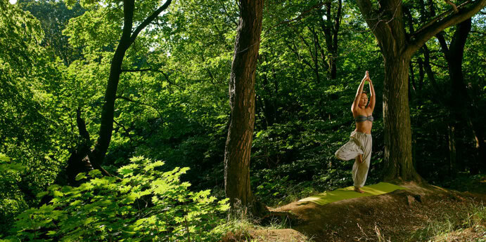 Yoga beim Waldbaden